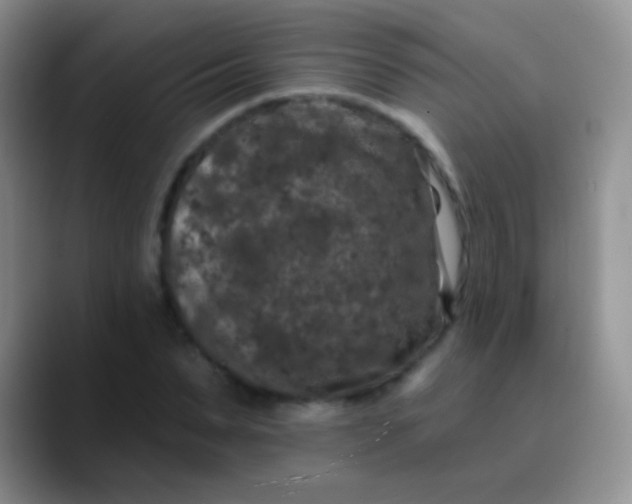 X0000089880879200707191954