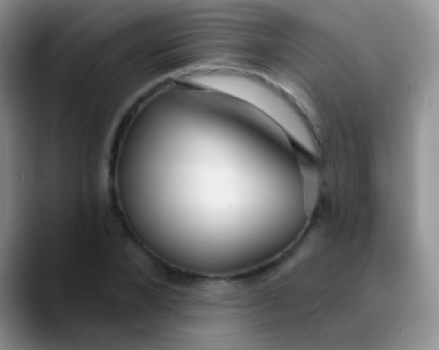 X0000089880880200707191954