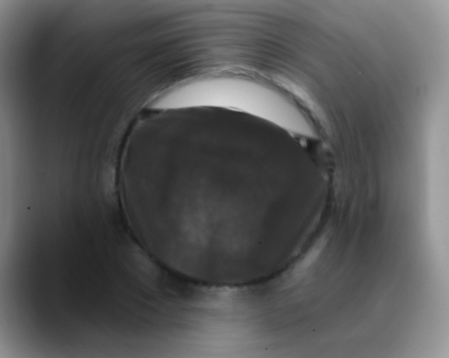 X0000089880881200707191954