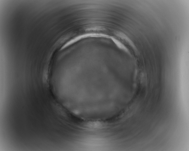 X0000089880882200707191954