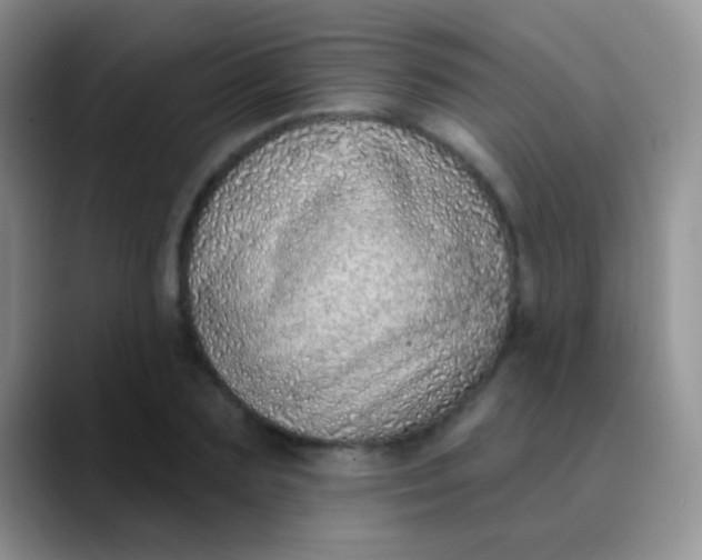 X0000089880883200707191954