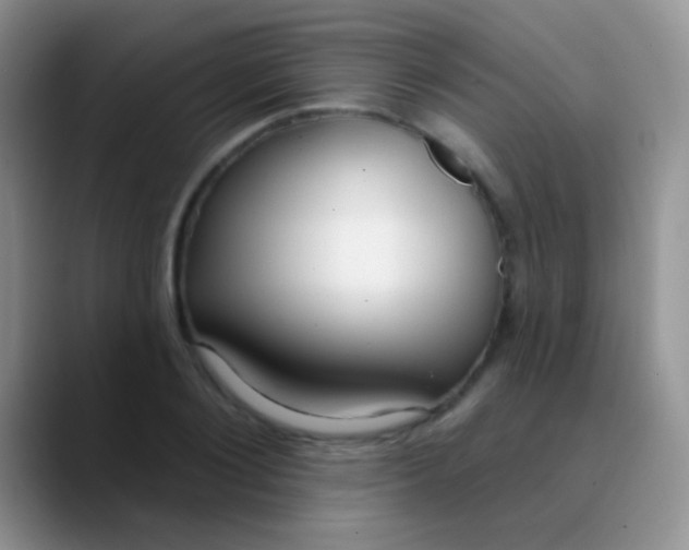 X0000089880884200707191954