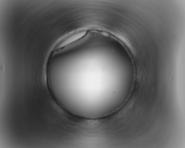 X0000089880888200707191954