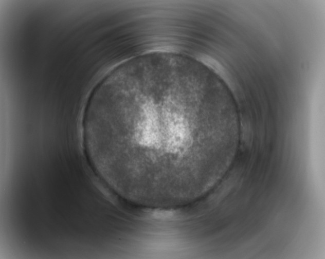 X0000089880890200707191954