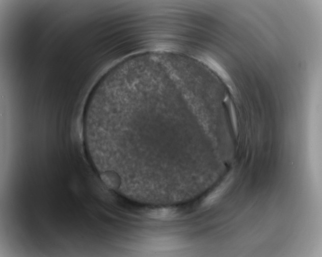 X0000089880891200707191954