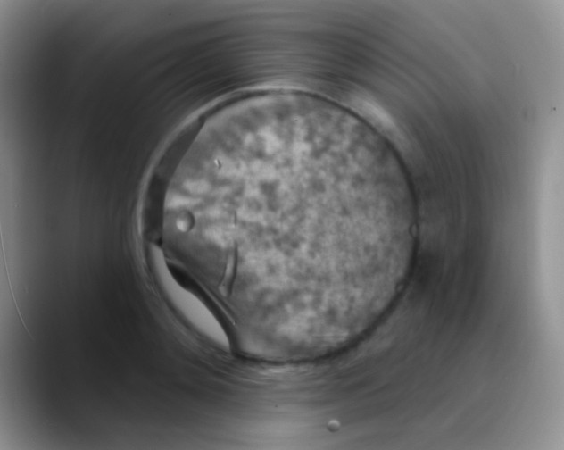 X0000089880892200707191954