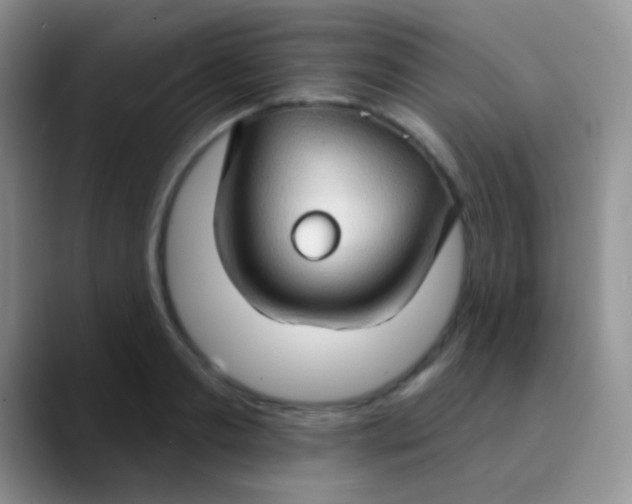 X0000089880893200707191954