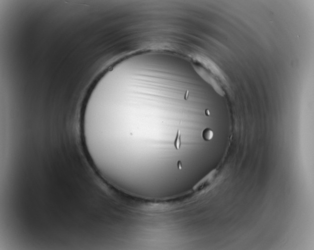 X0000089880894200707191954