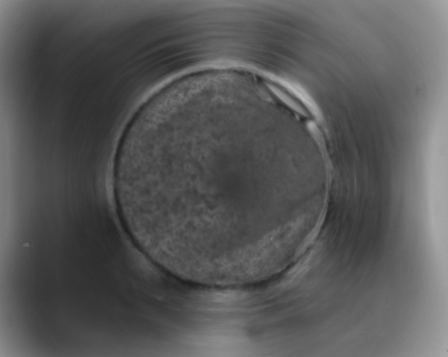 X0000089880895200707191954