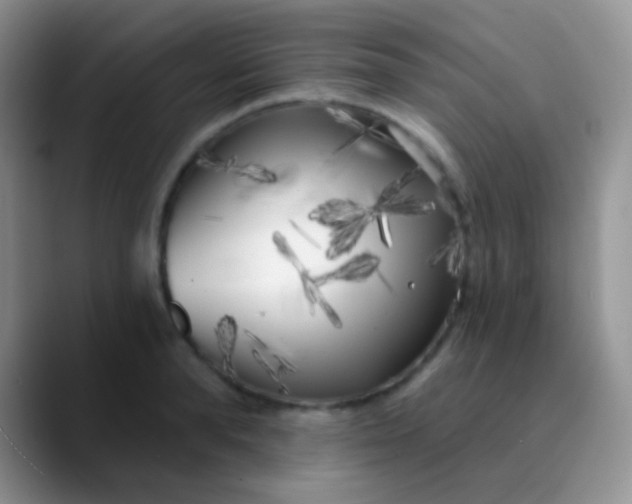 X0000089880896200707191954