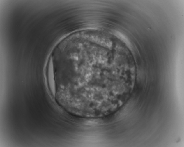 X0000089880899200707191954