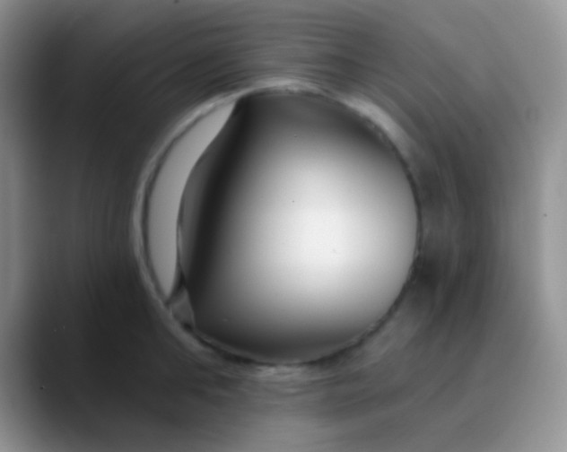 X0000089880902200707191954