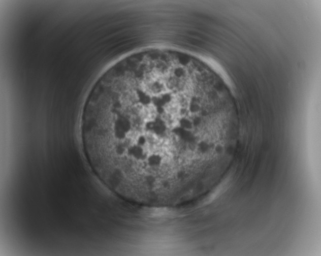 X0000089880903200707191954