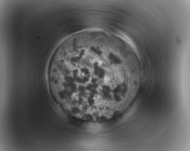 X0000089880907200707191954