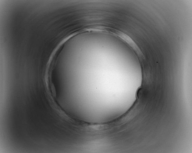 X0000089880908200707191954