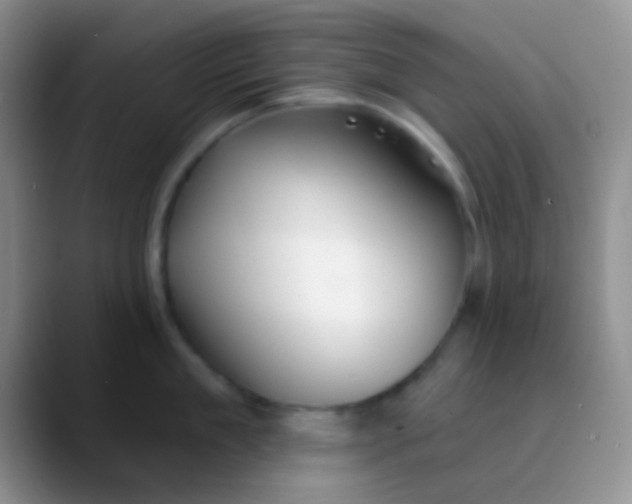 X0000089880909200707191954