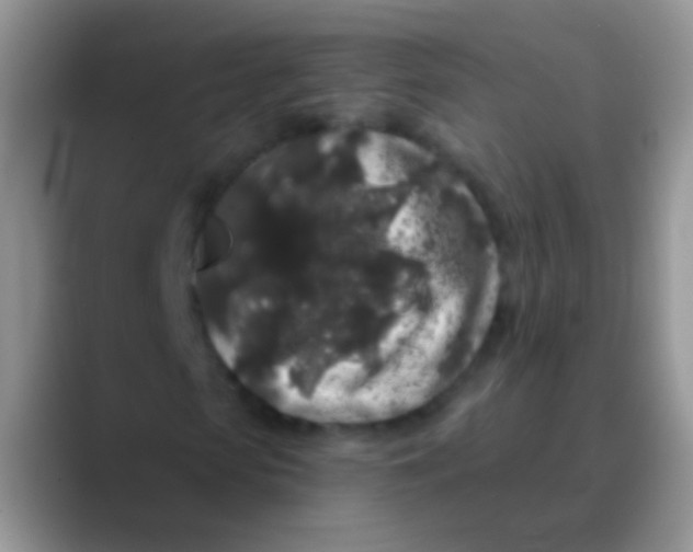 X0000089880913200707191953