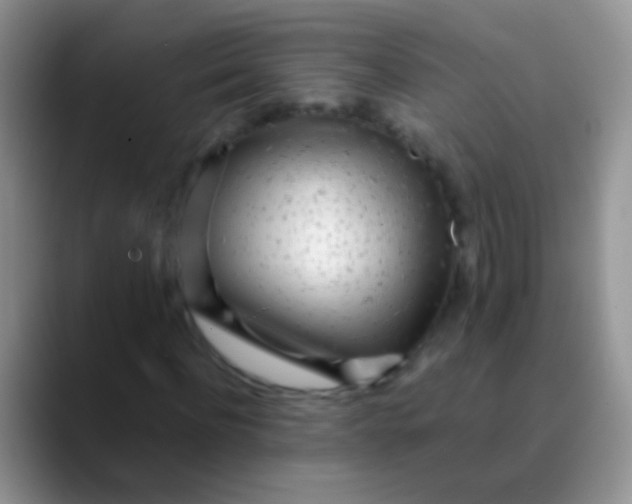 X0000089880916200707191953