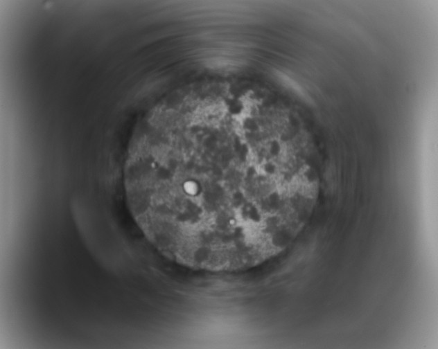 X0000089880917200707191953