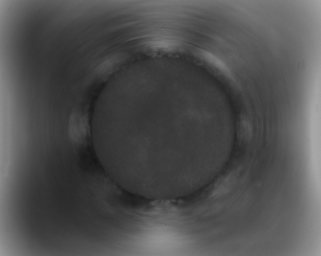 X0000089880918200707191953