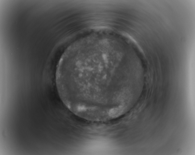 X0000089880919200707191953