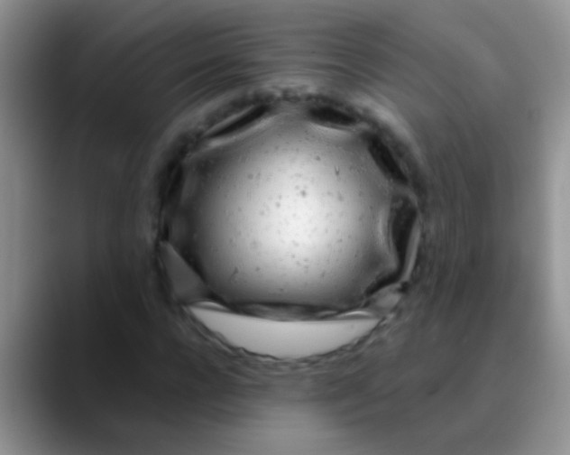 X0000089880920200707191953