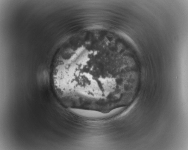 X0000089880921200707191953