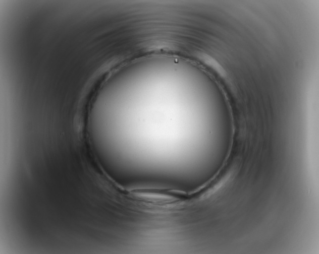 X0000089880922200707191953