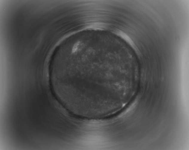 X0000089880923200707191953