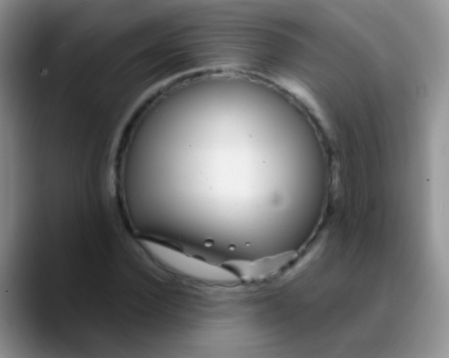 X0000089880924200707191953