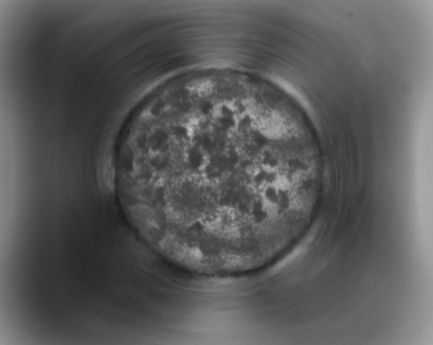 X0000089880925200707191953