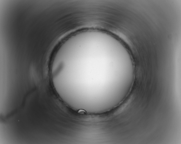 X0000089880927200707191953