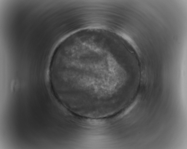 X0000089880928200707191953