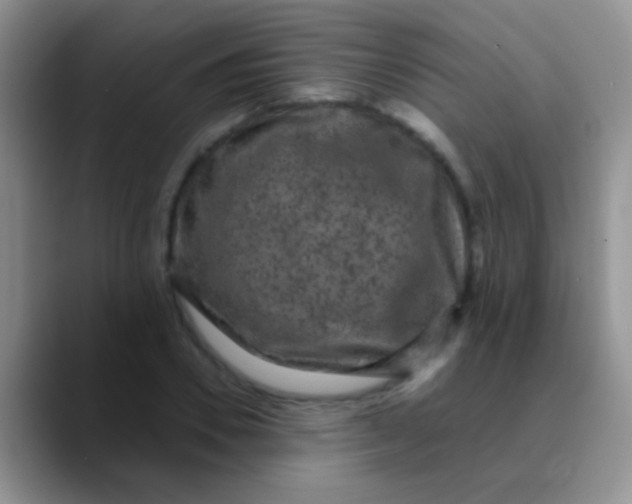 X0000089880930200707191953