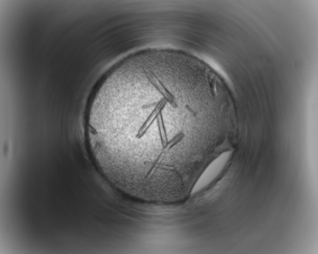 X0000089880935200707191954