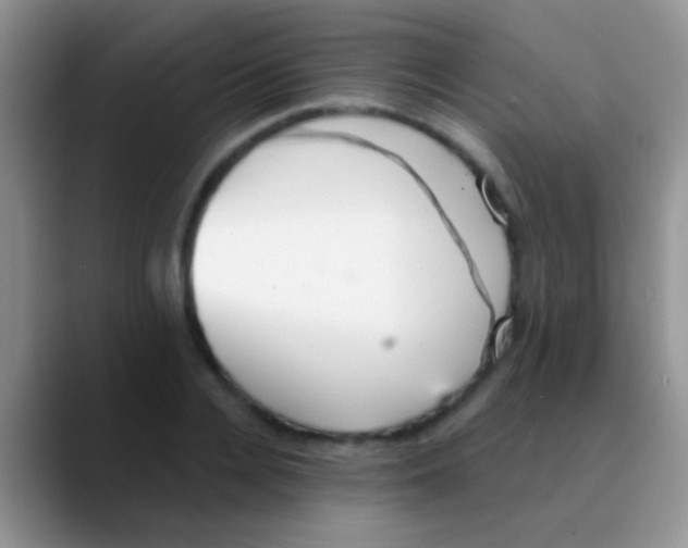 X0000089880936200707191954