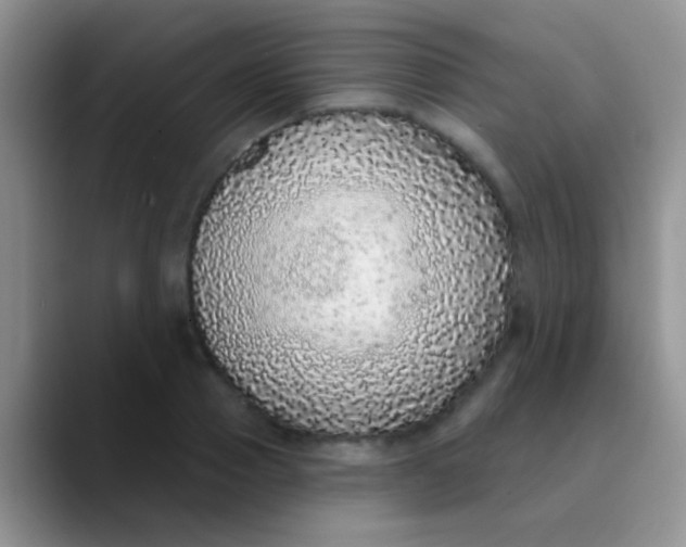 X0000089880937200707191954