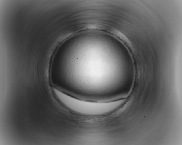 X0000089880938200707191954