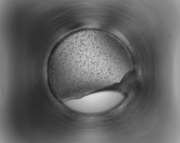 X0000089880939200707191954