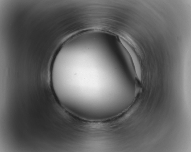 X0000089880940200707191954