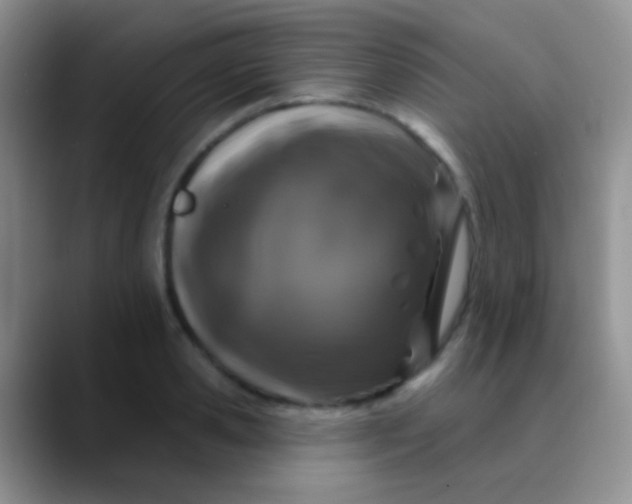 X0000089880941200707191954