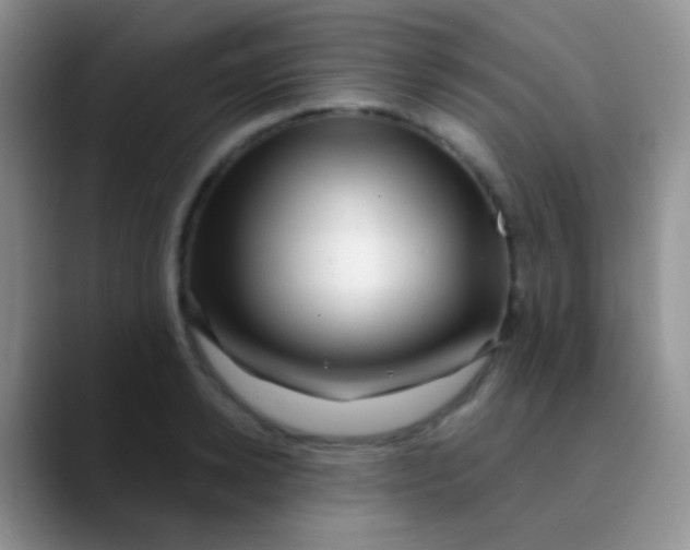 X0000089880942200707191954