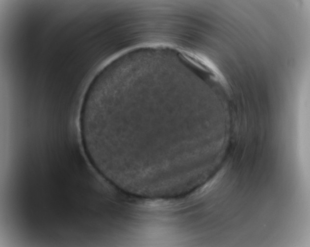 X0000089880943200707191954