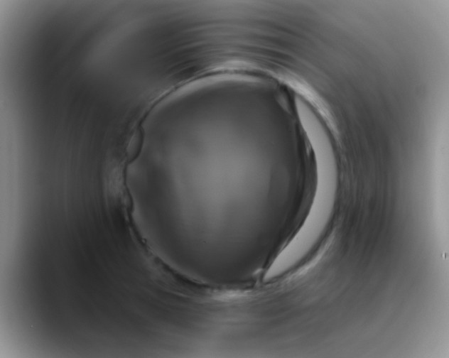 X0000089880945200707191954