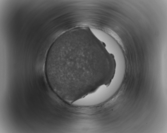 X0000089880946200707191954