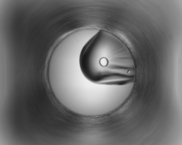 X0000089880948200707191954