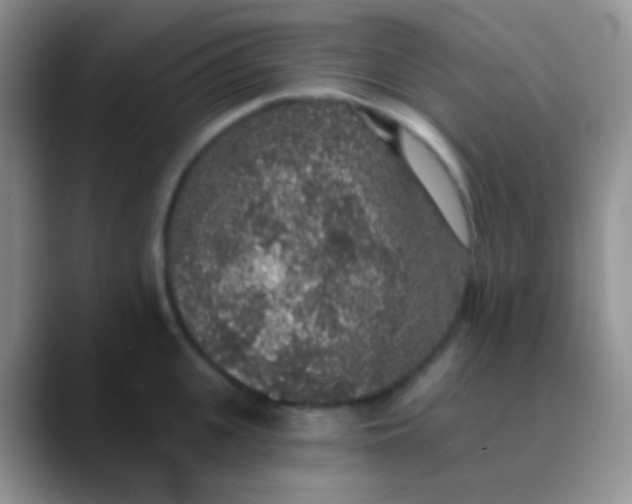 X0000089880951200707191954