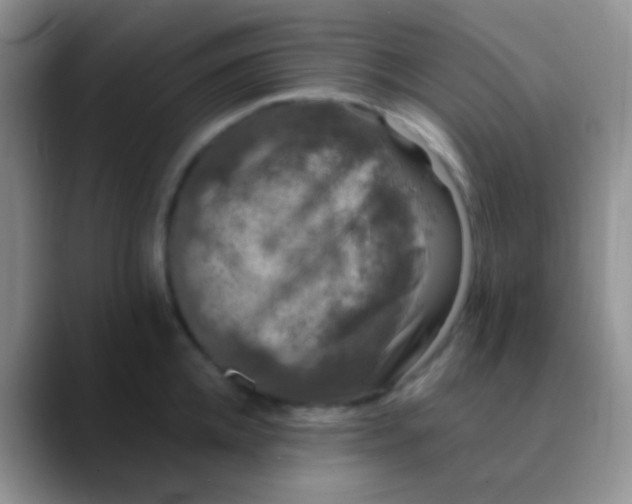 X0000089880952200707191954