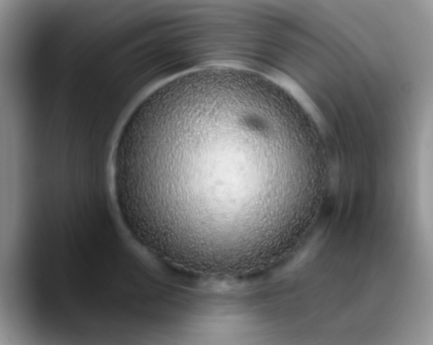 X0000089880955200707191954