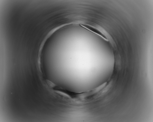 X0000089880956200707191954